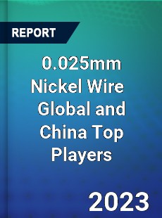 0 025mm Nickel Wire Global and China Top Players Market