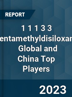 1 1 1 3 3 Pentamethyldisiloxane Global and China Top Players Market