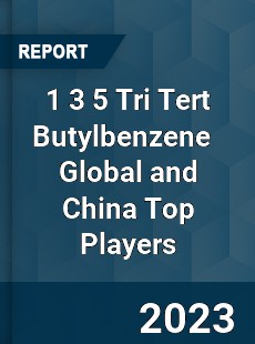 1 3 5 Tri Tert Butylbenzene Global and China Top Players Market