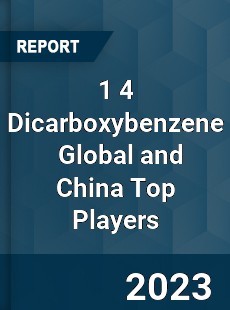 1 4 Dicarboxybenzene Global and China Top Players Market