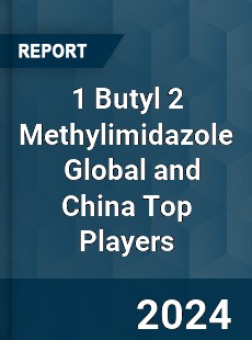 1 Butyl 2 Methylimidazole Global and China Top Players Market