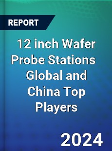 12 inch Wafer Probe Stations Global and China Top Players Market