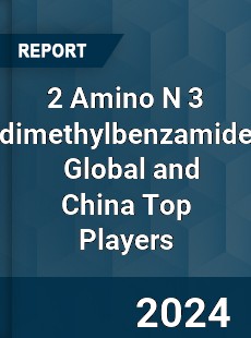 2 Amino N 3 dimethylbenzamide Global and China Top Players Market