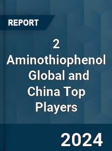 2 Aminothiophenol Global and China Top Players Market