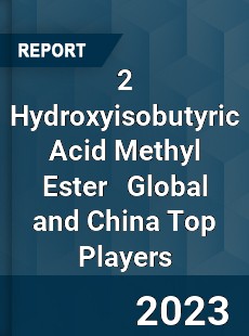 2 Hydroxyisobutyric Acid Methyl Ester Global and China Top Players Market