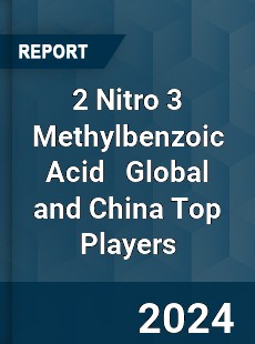 2 Nitro 3 Methylbenzoic Acid Global and China Top Players Market