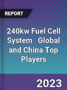 240kw Fuel Cell System Global and China Top Players Market