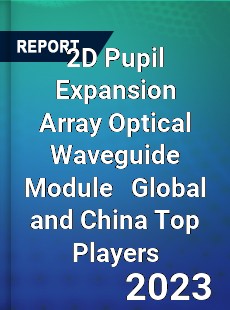 2D Pupil Expansion Array Optical Waveguide Module Global and China Top Players Market