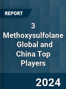 3 Methoxysulfolane Global and China Top Players Market