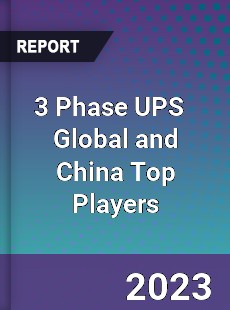 3 Phase UPS Global and China Top Players Market