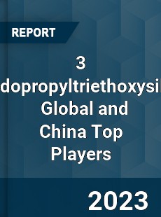 3 Ureidopropyltriethoxysilane Global and China Top Players Market