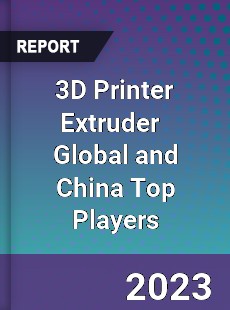 3D Printer Extruder Global and China Top Players Market