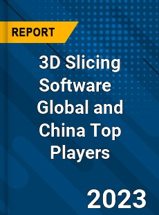 3D Slicing Software Global and China Top Players Market