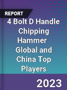 4 Bolt D Handle Chipping Hammer Global and China Top Players Market