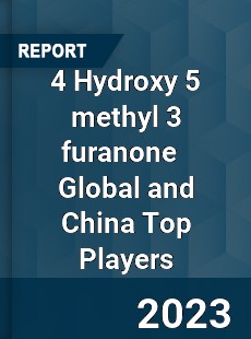 4 Hydroxy 5 methyl 3 furanone Global and China Top Players Market