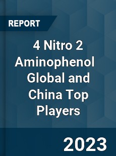 4 Nitro 2 Aminophenol Global and China Top Players Market