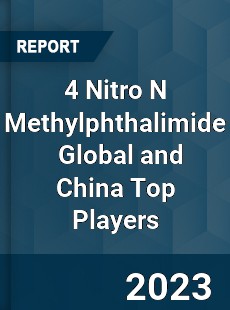 4 Nitro N Methylphthalimide Global and China Top Players Market