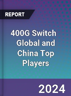 400G Switch Global and China Top Players Market