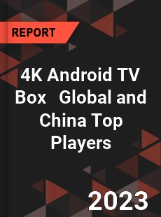 4K Android TV Box Global and China Top Players Market