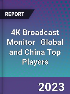 4K Broadcast Monitor Global and China Top Players Market