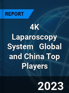 4K Laparoscopy System Global and China Top Players Market