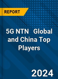 5G NTN Global and China Top Players Market