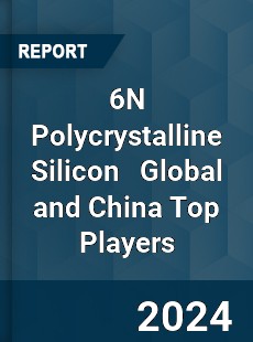 6N Polycrystalline Silicon Global and China Top Players Market