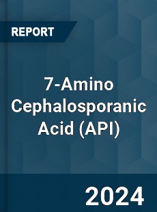 7 Amino Cephalosporanic Acid Market