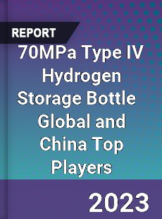 70MPa Type IV Hydrogen Storage Bottle Global and China Top Players Market