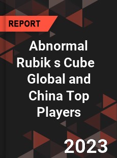 Abnormal Rubik s Cube Global and China Top Players Market