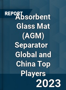 Absorbent Glass Mat Separator Global and China Top Players Market