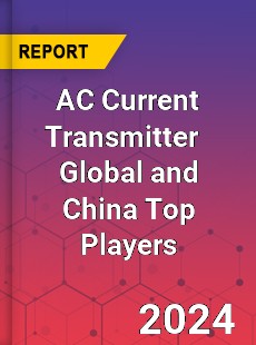 AC Current Transmitter Global and China Top Players Market