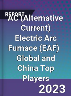 AC Electric Arc Furnace Global and China Top Players Market