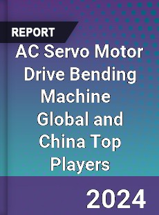 AC Servo Motor Drive Bending Machine Global and China Top Players Market