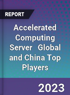 Accelerated Computing Server Global and China Top Players Market