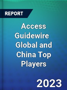 Access Guidewire Global and China Top Players Market