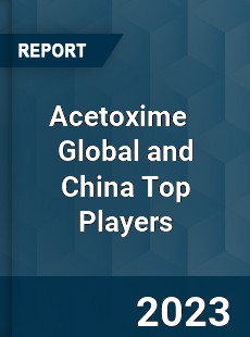 Acetoxime Global and China Top Players Market