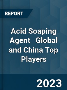 Acid Soaping Agent Global and China Top Players Market