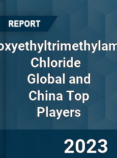 Acryloyloxyethyltrimethylammonium Chloride Global and China Top Players Market