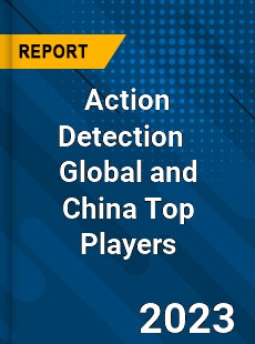 Action Detection Global and China Top Players Market