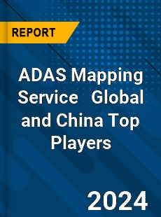 ADAS Mapping Service Global and China Top Players Market