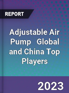 Adjustable Air Pump Global and China Top Players Market