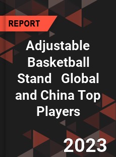 Adjustable Basketball Stand Global and China Top Players Market