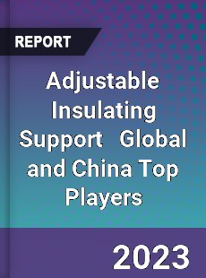 Adjustable Insulating Support Global and China Top Players Market