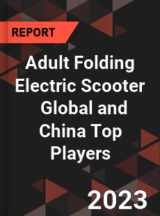 Adult Folding Electric Scooter Global and China Top Players Market