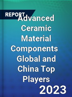 Advanced Ceramic Material Components Global and China Top Players Market