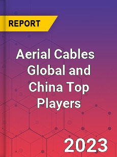 Aerial Cables Global and China Top Players Market