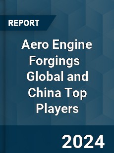 Aero Engine Forgings Global and China Top Players Market