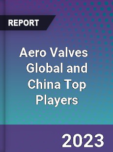 Aero Valves Global and China Top Players Market