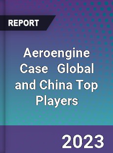 Aeroengine Case Global and China Top Players Market